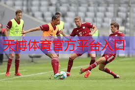 打造明日之星：篮球训练营的梦想启航