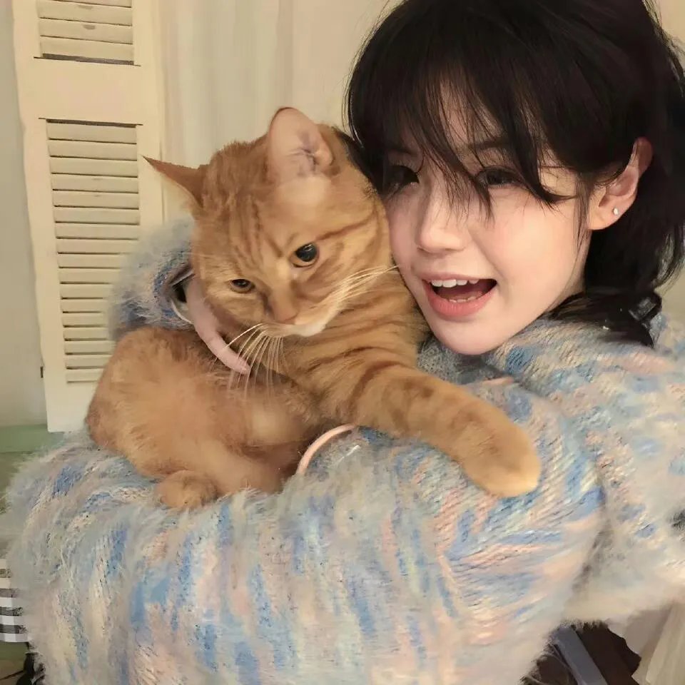 熊猫计划之部落奇遇记